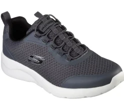 Dynamight 2.0 - Setner