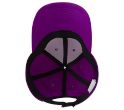 Skech-Shine Foil Baseball Hat