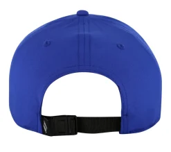 Skech-Shine Foil Baseball Hat